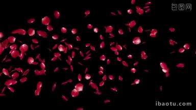 玫瑰花瓣飞舞的颗粒，哑光